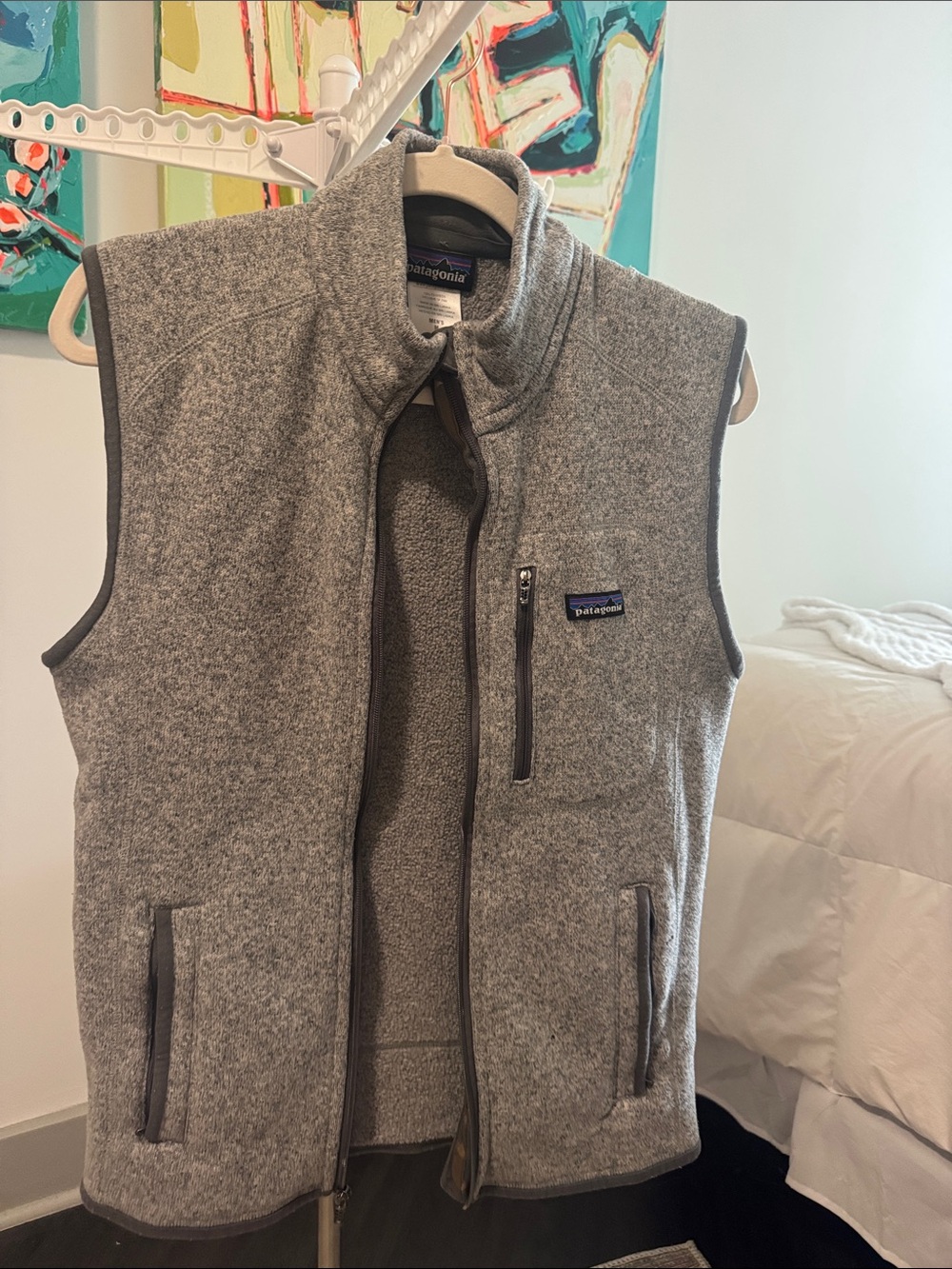 Patagonia Men’s Fleece Vest